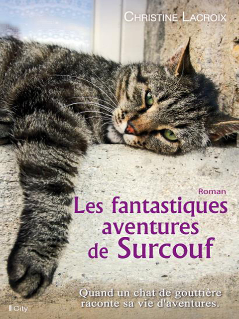 Cover image for book Les fantastiques aventures de Surcouf