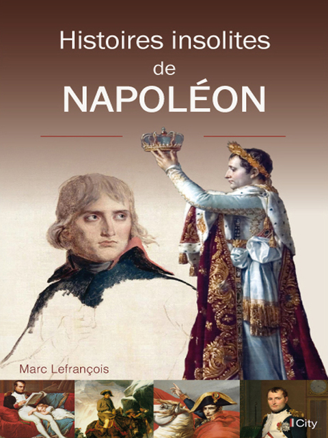 Cover image for book Histoires insolites de Napoléon