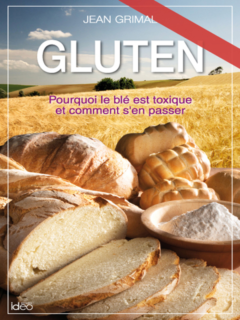Cover image for book Gluten