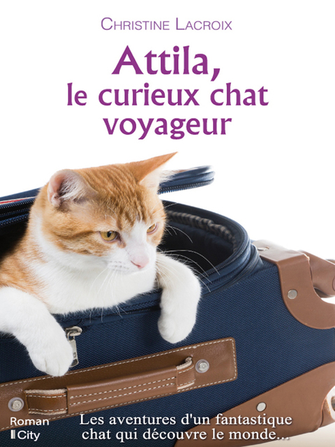 Cover image for book Attila, le curieux chat voyageur