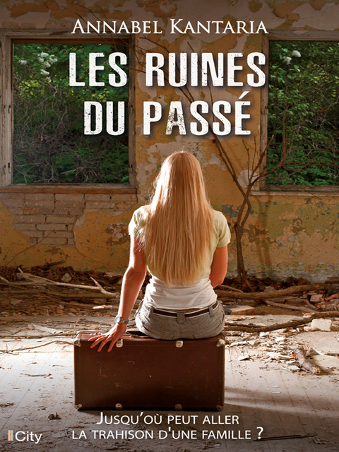 Cover image for book Les ruines du passé