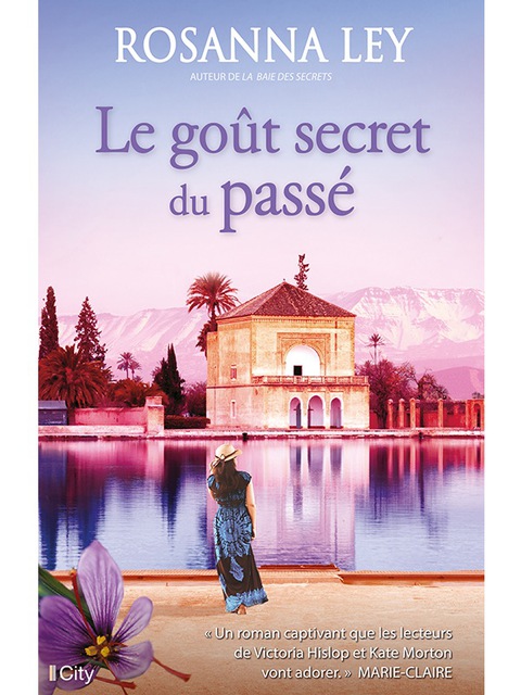 Cover image for book Le goût secret du passé