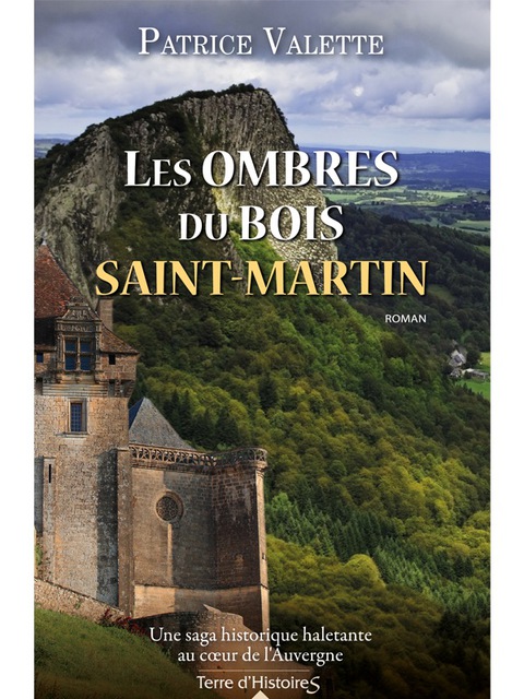 Cover image for book Les ombres du bois Saint-Martin
