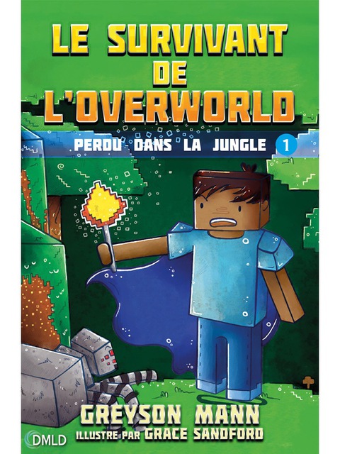 Cover image for book Le survivant de l'Overworld T1