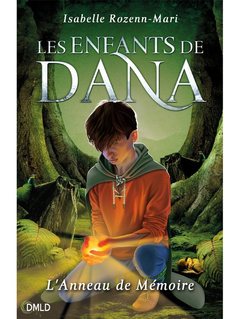 Cover image for book L'anneau de mémoire