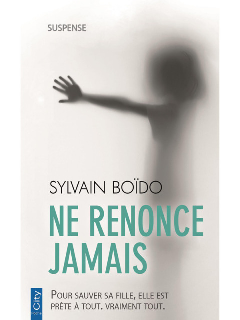 Cover image for book Ne renonce jamais