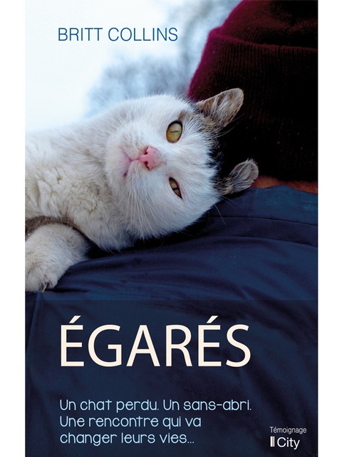 Cover image for book Egarés