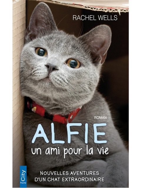 Cover image for book Alfie, un ami pour la vie