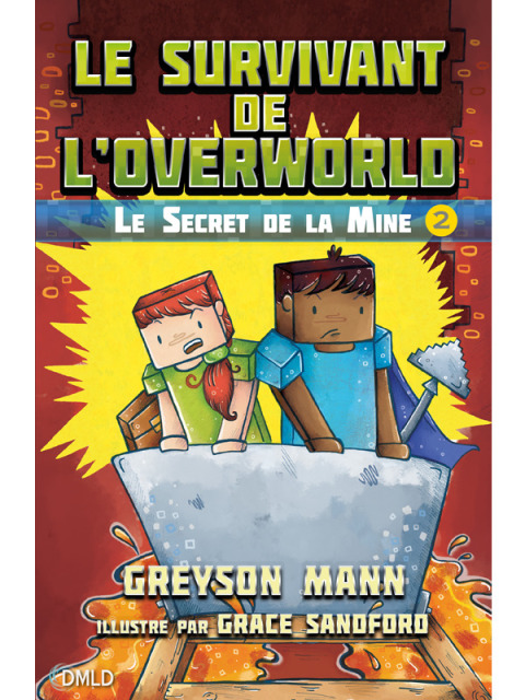 Cover image for book Le survivant de l'Overworld T2