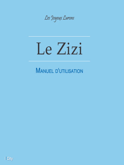 Cover image for book Le Zizi - Manuel d'utilisation