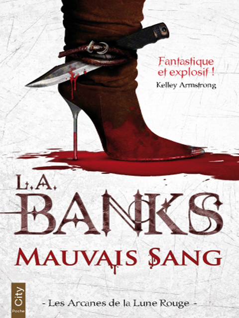 Cover image for book Mauvais Sang