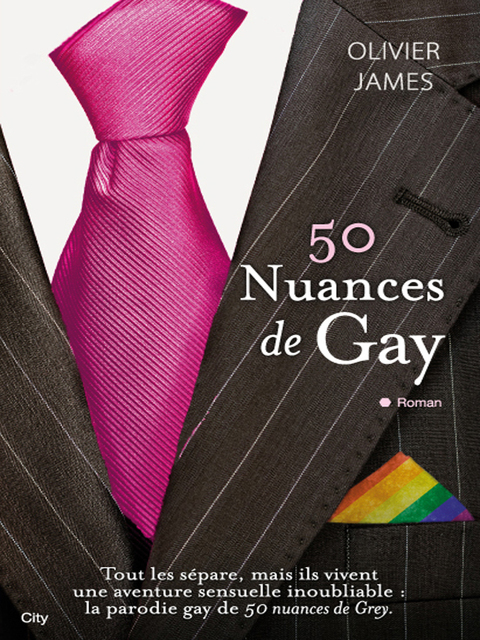 Cover image for book 50 nuances de gay