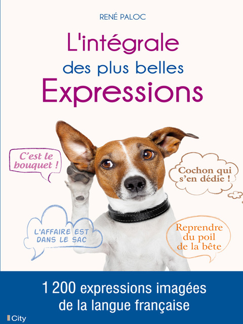 Cover image for book L'intégrale des plus belles Expressions