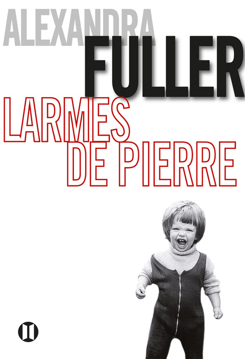 Cover image for book Larmes de pierre