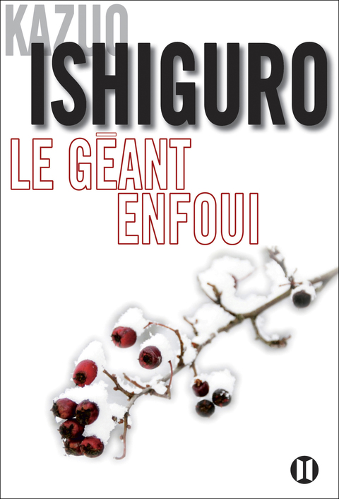 Cover image for book Le géant enfoui