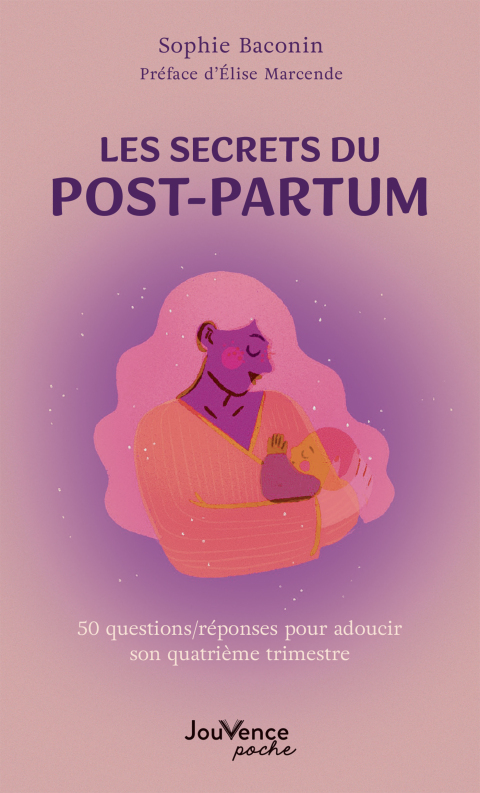 Cover image for book Les secrets du post-partum