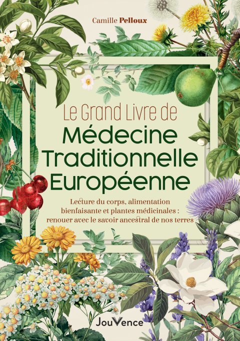 Cover image for book Le Grand Livre de médecine traditionnelle européenne