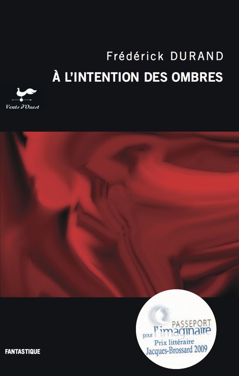Cover image for book A l'intention des ombres