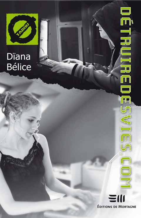 Cover image for book Détruiredesvies.com 25