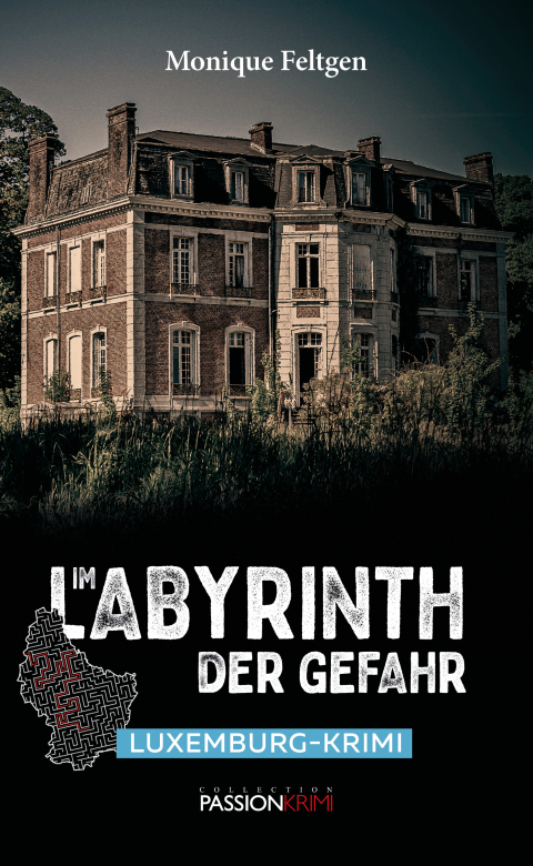 Cover image for book Im Labyrinth der Gefahr