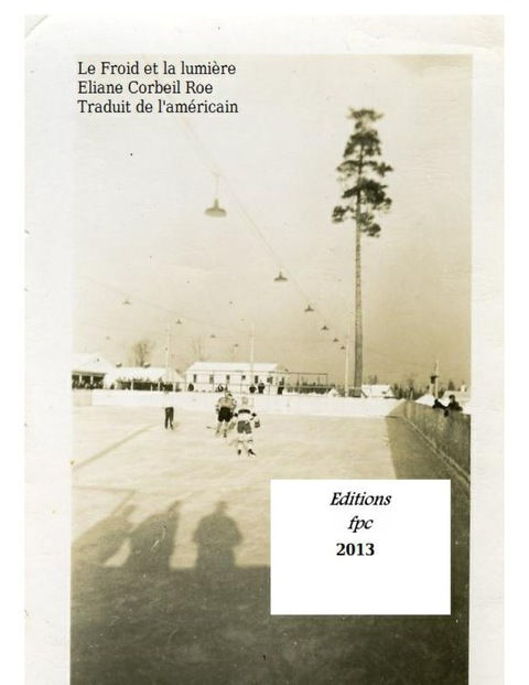 Cover image for book Froid et la lumière Le