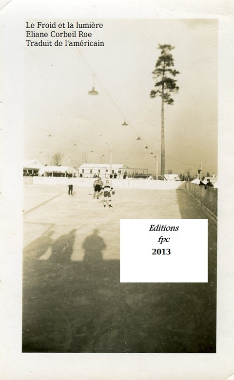 Cover image for book Froid et la lumière Le