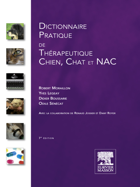Cover image for book Dictionnaire pratique de thérapeutique - Chien, chat et NAC