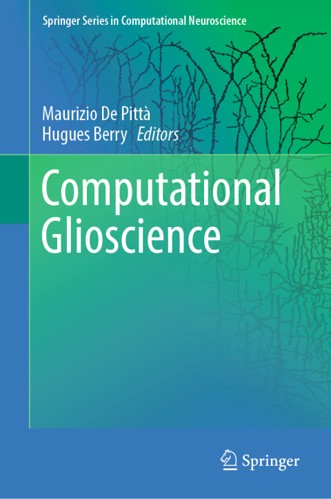 Cover image for book Computational Glioscience