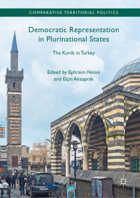 Cover image for book Democratic Representation in Plurinational States