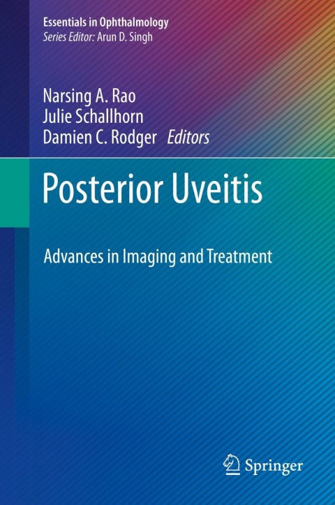Cover image for book Posterior Uveitis