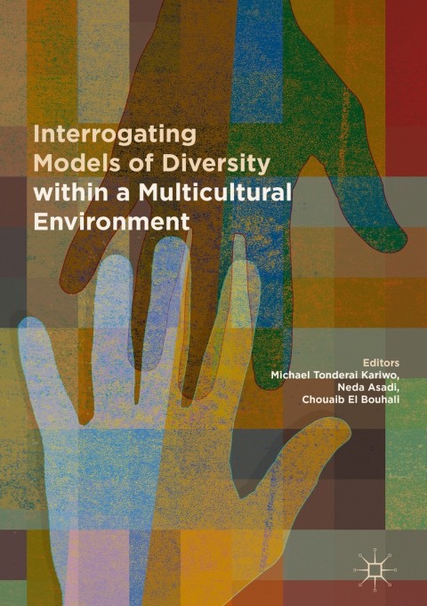 Cover image for book Interrogating Models of Diversity within a Multicultural Environment