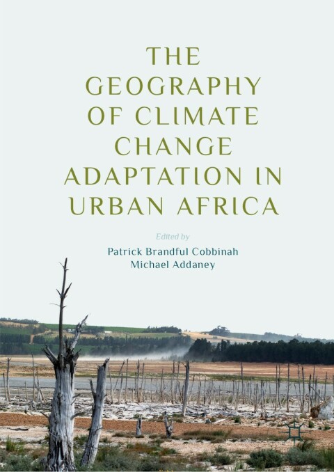 Cover image for book The Geography of Climate Change Adaptation in Urban Africa