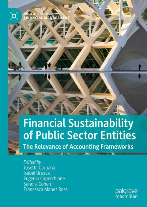 Cover image for book Financial Sustainability of Public Sector Entities