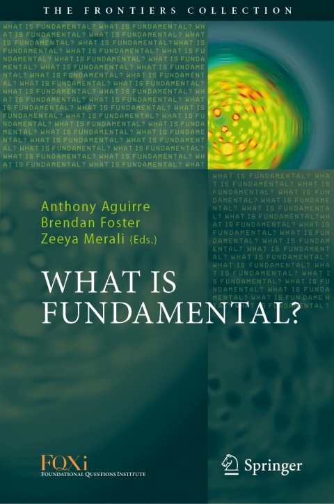 Cover image for book What is Fundamental?