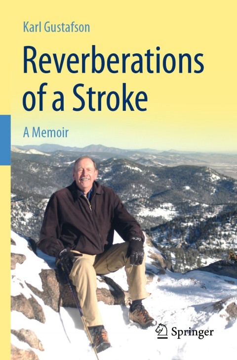Cover image for book Reverberations of a Stroke
