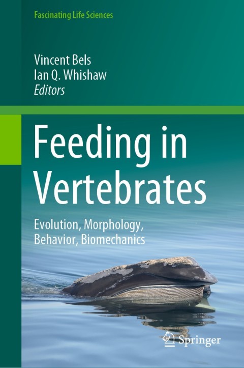 Cover image for book Feeding in Vertebrates