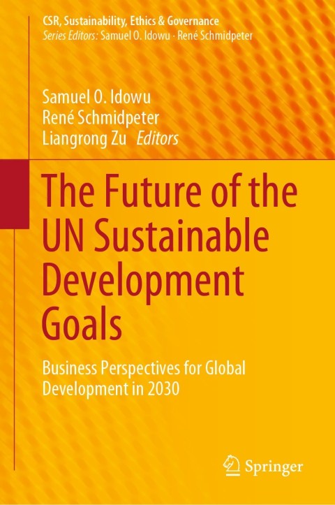Cover image for book The Future of the UN Sustainable Development Goals