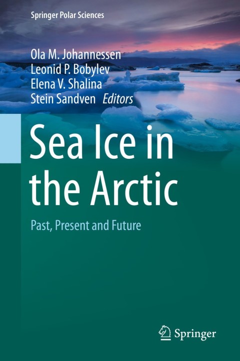 Cover image for book Sea Ice in the Arctic