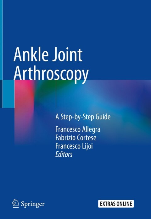 Cover image for book Ankle Joint Arthroscopy