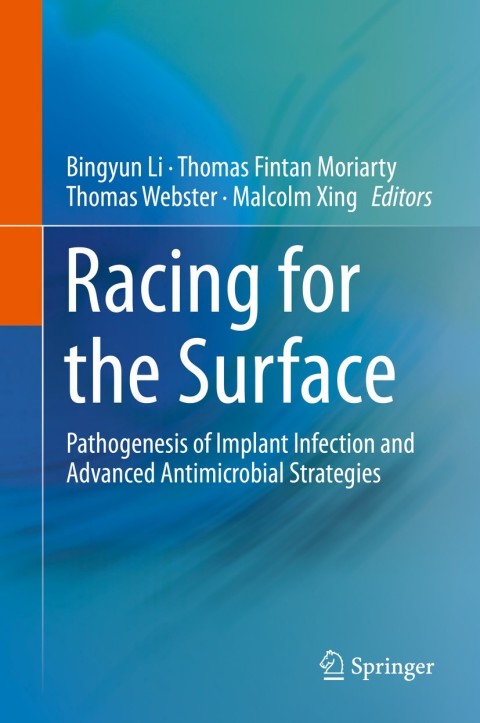 Cover image for book Racing for the Surface