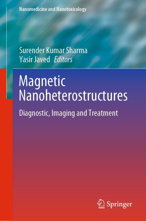 Cover image for book Magnetic Nanoheterostructures