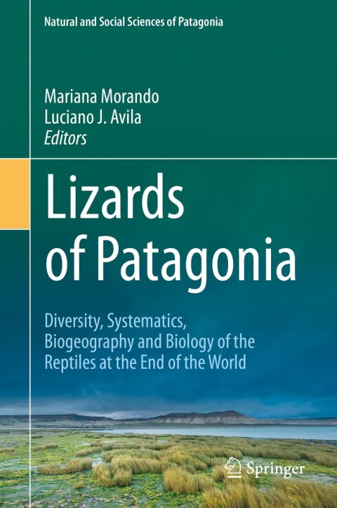Cover image for book Lizards of Patagonia