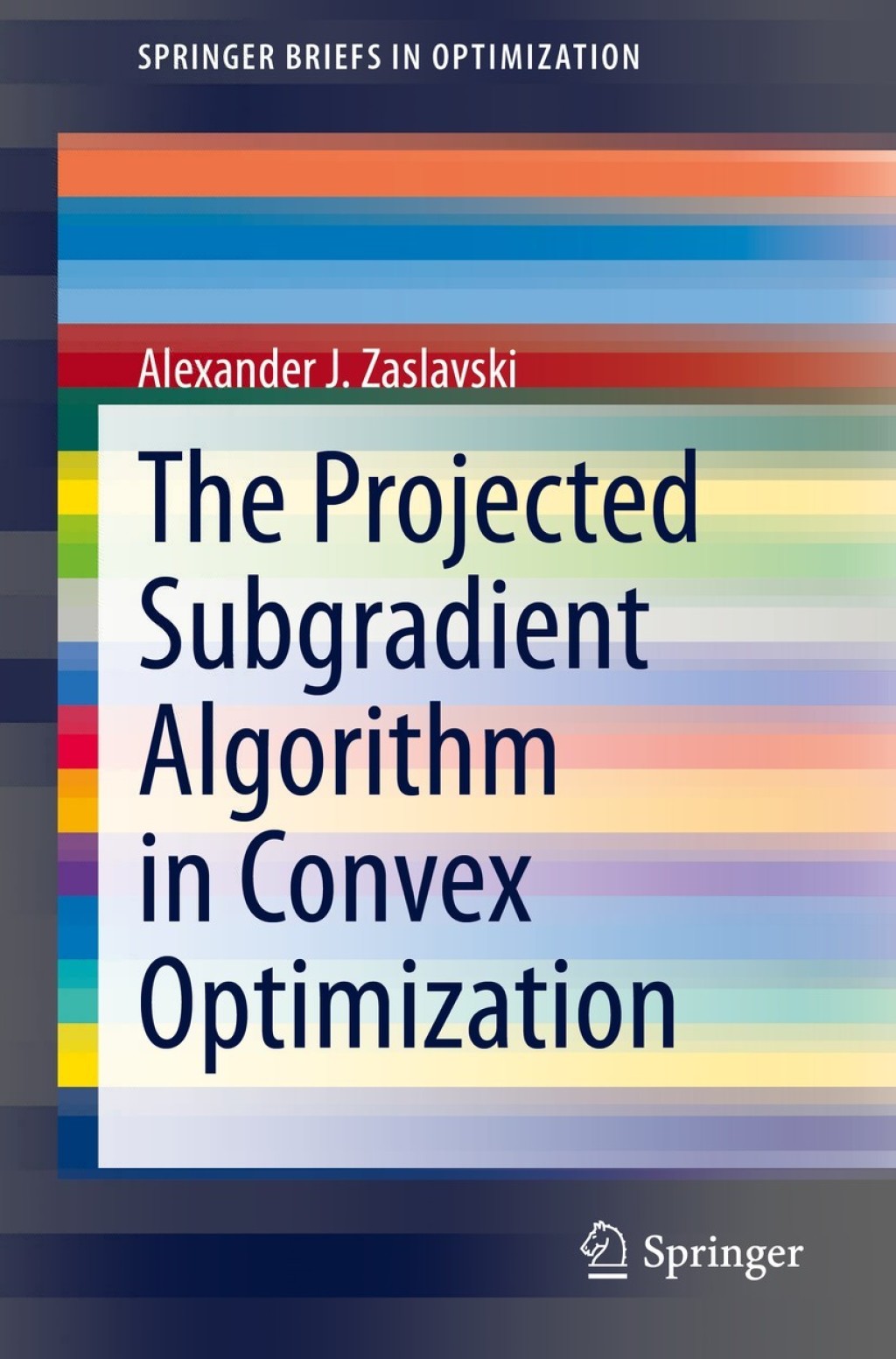 The Projected Subgradient Algorithm in Convex Optimization (eBook)