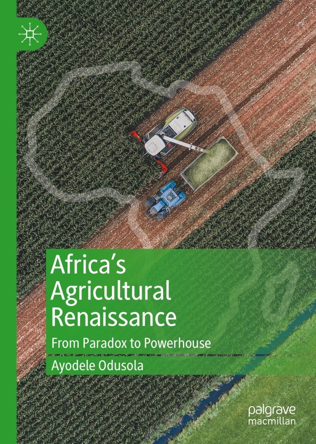 ISBN 9783030657482 product image for Africa's Agricultural Renaissance (eBook Rental) | upcitemdb.com