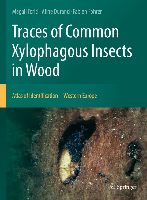 Cover image for book Traces of Common Xylophagous Insects in Wood