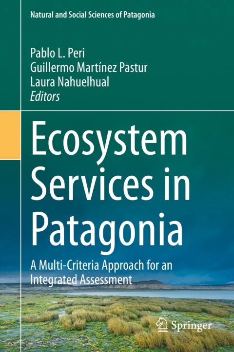 Cover image for book Ecosystem Services in Patagonia