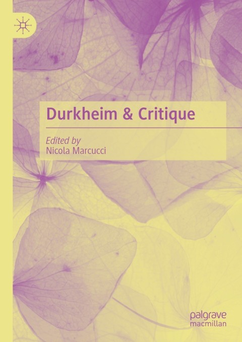 Cover image for book Durkheim & Critique