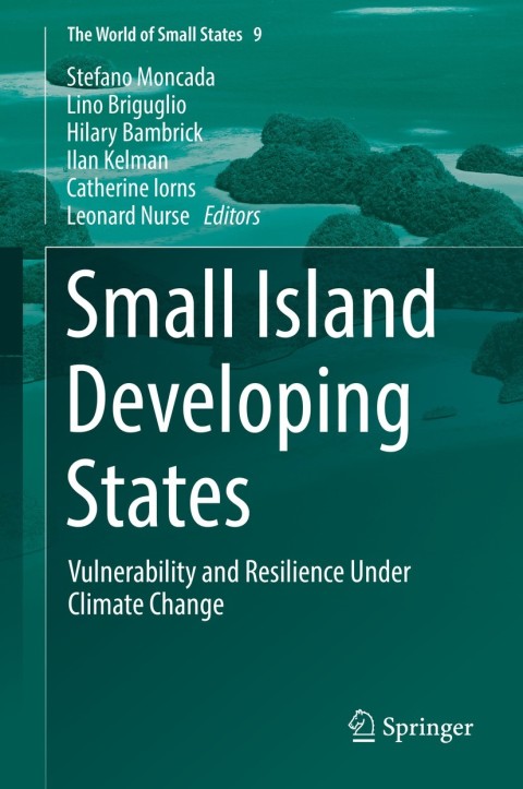 Cover image for book Small Island Developing States