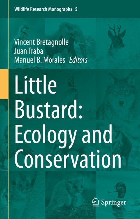 Cover image for book Little Bustard: Ecology and Conservation