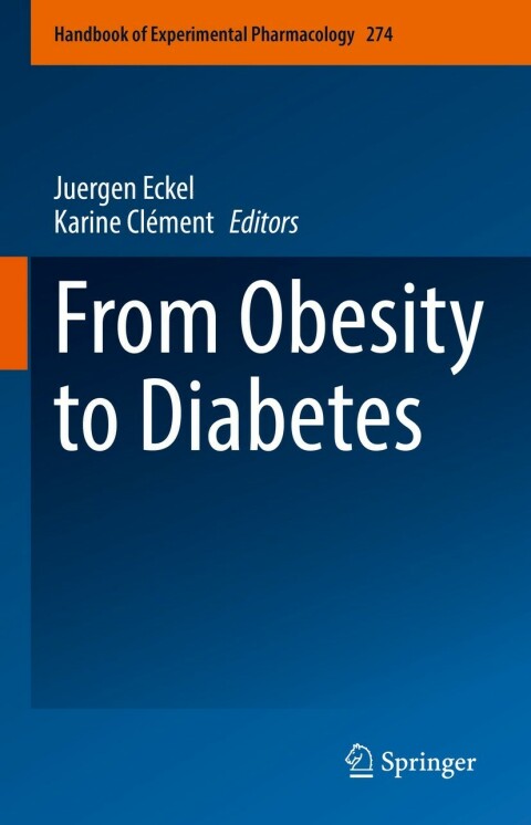 Cover image for book From Obesity to Diabetes
